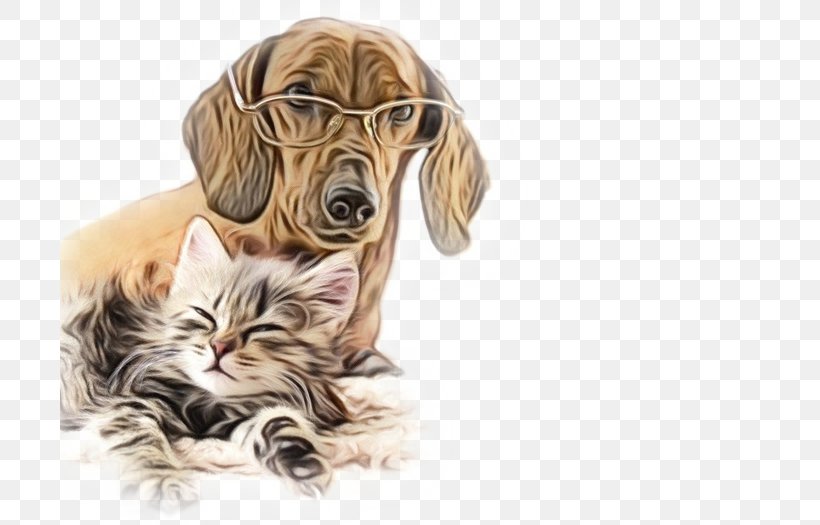 Dog Dog Breed Whiskers Cat Companion Dog, PNG, 700x525px, Watercolor, Cat, Companion Dog, Dog, Dog Breed Download Free