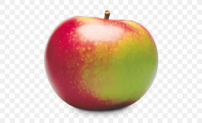 McIntosh Red Apple Cortland, PNG, 500x500px, Mcintosh Red, Apple, Ben Davis, Cortland, Food Download Free