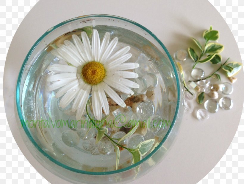 Plate Bowl Vase Flower, PNG, 1600x1205px, Plate, Bowl, Dishware, Flower, Glass Download Free