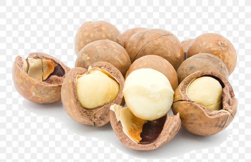 Raw Foodism Macadamia Oil Nut Seed, PNG, 1323x855px, Raw Foodism, Cashew, Food, Fruit, Hazelnut Download Free