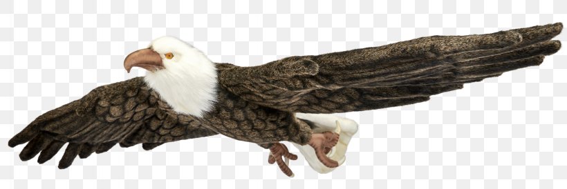 Bald Eagle Stuffed Animals & Cuddly Toys Bird Vulture, PNG, 2048x685px, Bald Eagle, Accipitriformes, Animal, Animal Figure, Beak Download Free