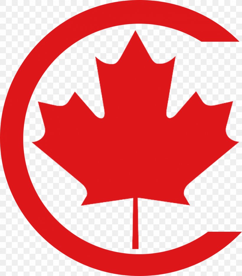 Flag Of Canada History Of Canada Canada Day, PNG, 1033x1178px, Flag Of Canada, Area, Artwork, Canada, Canada Day Download Free