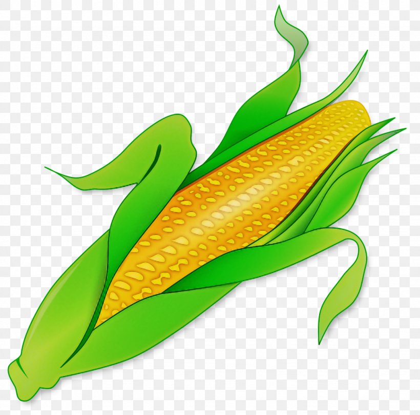 Leaf Vegetarian Food Corn On The Cob Plant Corn, PNG, 1024x1011px, Leaf, Anthurium, Corn, Corn On The Cob, Plant Download Free