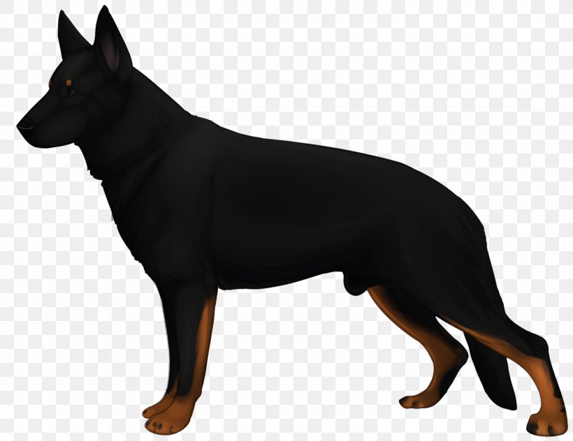 Ormskirk Terrier English Toy Terrier German Pinscher Manchester Terrier Australian Kelpie, PNG, 1449x1117px, English Toy Terrier, Ancient Dog Breeds, Australian Cattle Dog, Australian Kelpie, Black And Tan Terrier Download Free