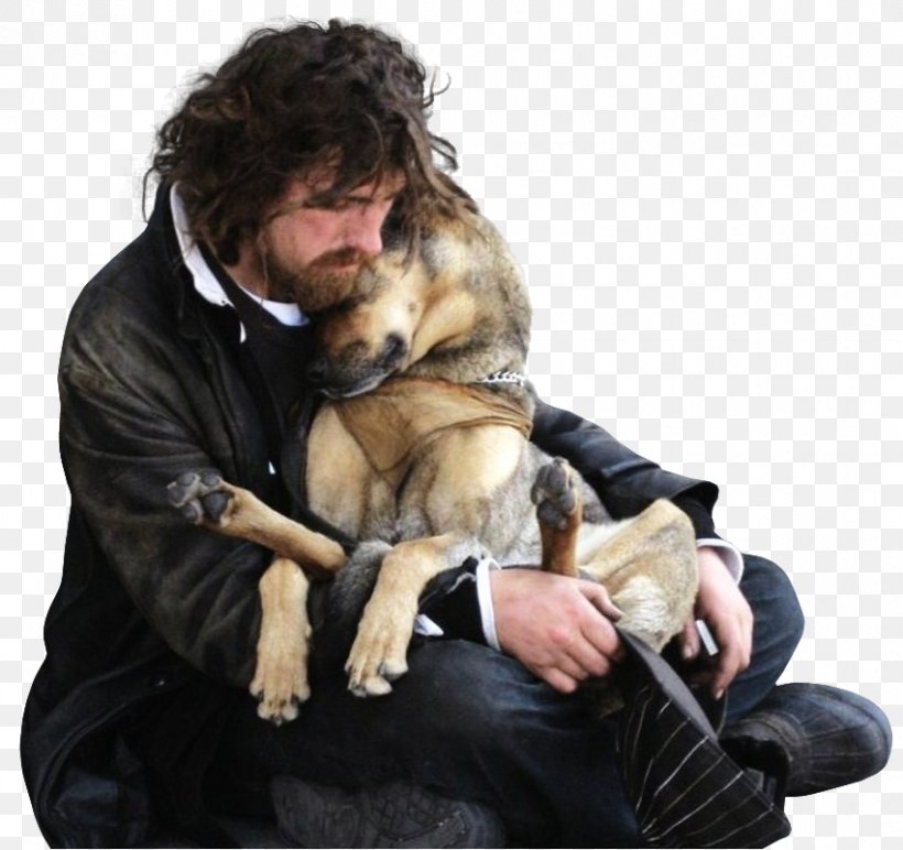 Dog Homelessness Unconditional Love Photography, PNG, 851x802px, Dog, Animal, Carnivoran, Companion Dog, Dog Breed Download Free