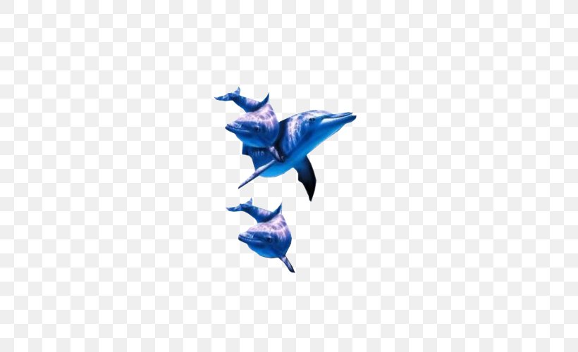 Dolphin Cobalt Blue, PNG, 500x500px, Dolphin, Blue, Cobalt, Cobalt Blue, Fish Download Free