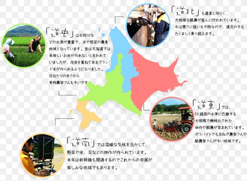 Obihiro Tokachi Subprefecture Tokachi District, Hokkaido Agriculture ボラバイト, PNG, 1021x750px, Obihiro, Agriculture, Autumn, Harvest, Hokkaido Download Free