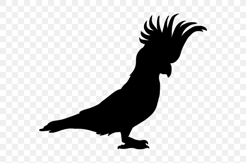 Parrot Perroquet Beak Silhouette Clip Art, PNG, 650x544px, Parrot, Beak, Bird, Black And White, Chicken Download Free