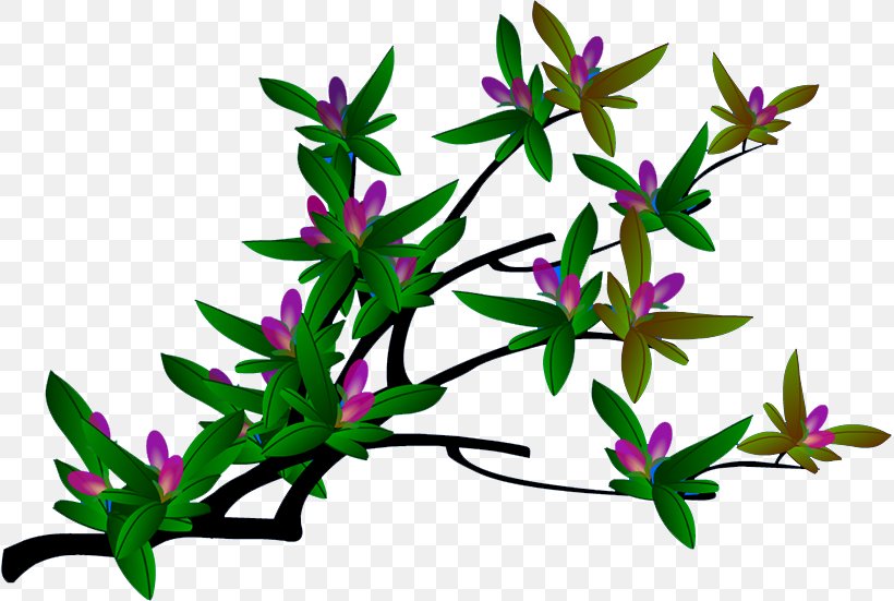 SWF Download Clip Art, PNG, 817x551px, Swf, Branch, Flash Video, Flora, Flower Download Free