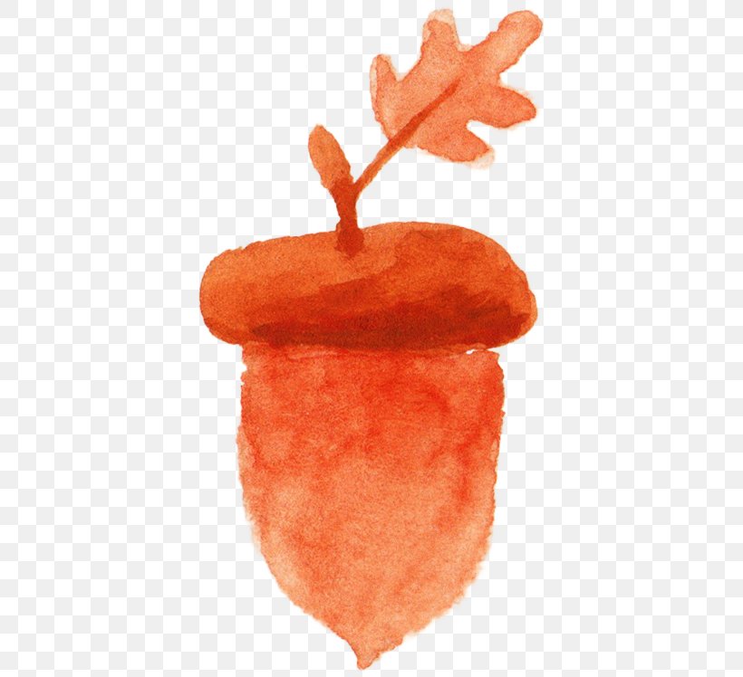 Acorn Watercolor Painting Orange, PNG, 393x748px, Acorn, Drawing, Food, Fruit, Ink Download Free