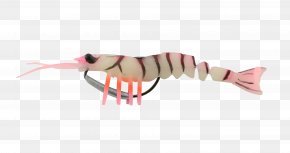 Shrimps - Fishing Baits & Lures Shrimp Thermoplastic Elastomer PNG