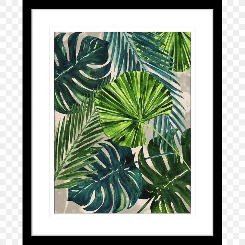 Flora Picture Frames Leaf Plant Pattern, PNG, 1000x1000px, Flora, Clothing Sizes, Color, Fauna, Leaf Download Free