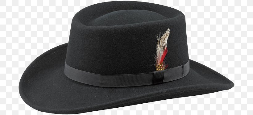 Hat, PNG, 700x375px, Hat, Fashion Accessory, Headgear Download Free