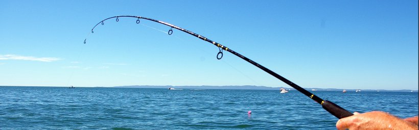 New Zealand Recreational Fishing Fishing Rods Fishing Reels, PNG, 1920x600px, New Zealand, Angling, Biggame Fishing, Boat, Casting Fishing Download Free