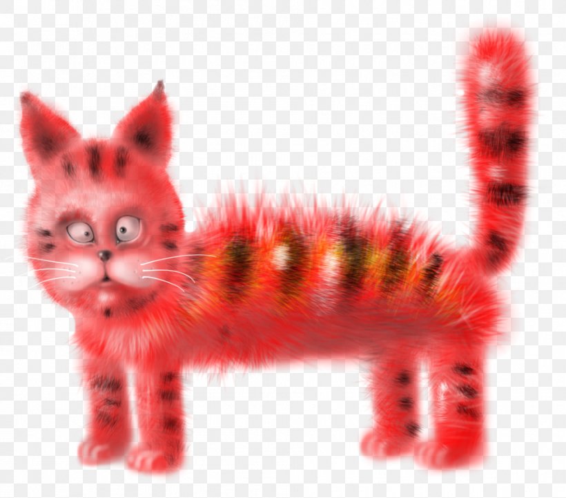 Whiskers Kitten Tabby Cat Snout, PNG, 953x839px, Whiskers, Carnivoran, Cat, Cat Like Mammal, Kitten Download Free
