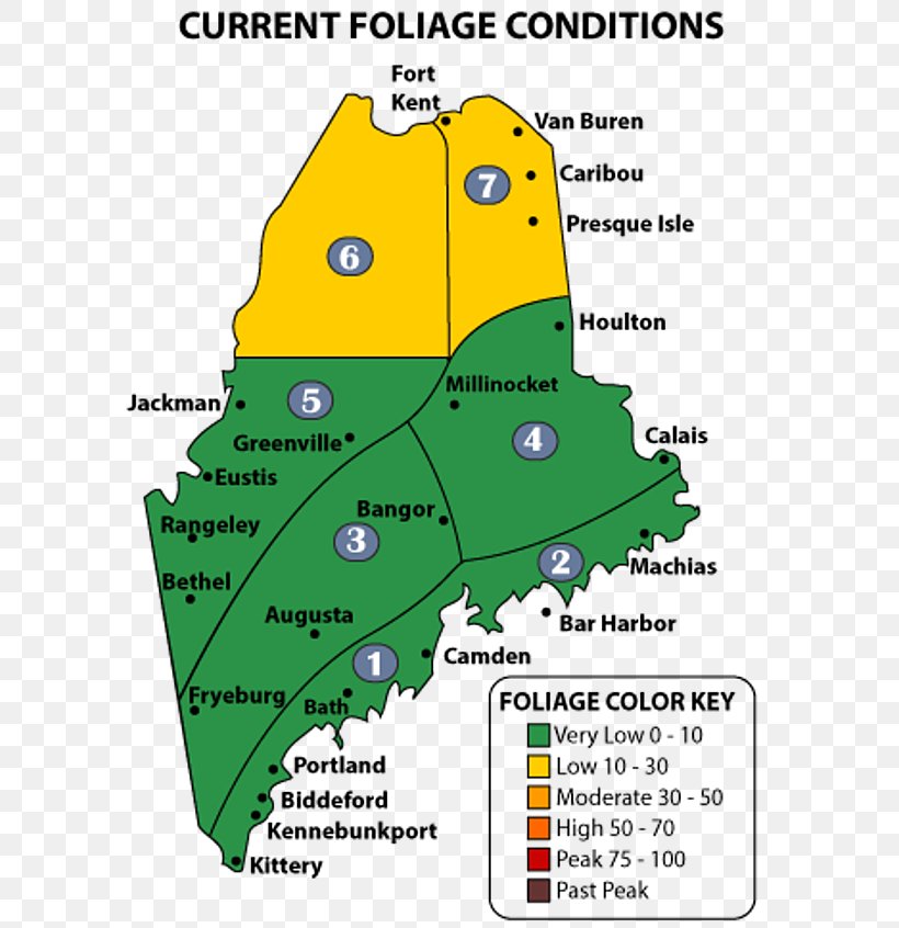 Autumn Leaf Color Aroostook County, Maine Map Down East, PNG, 600x846px, Leaf, Area, Aroostook County Maine, Autumn, Autumn Leaf Color Download Free