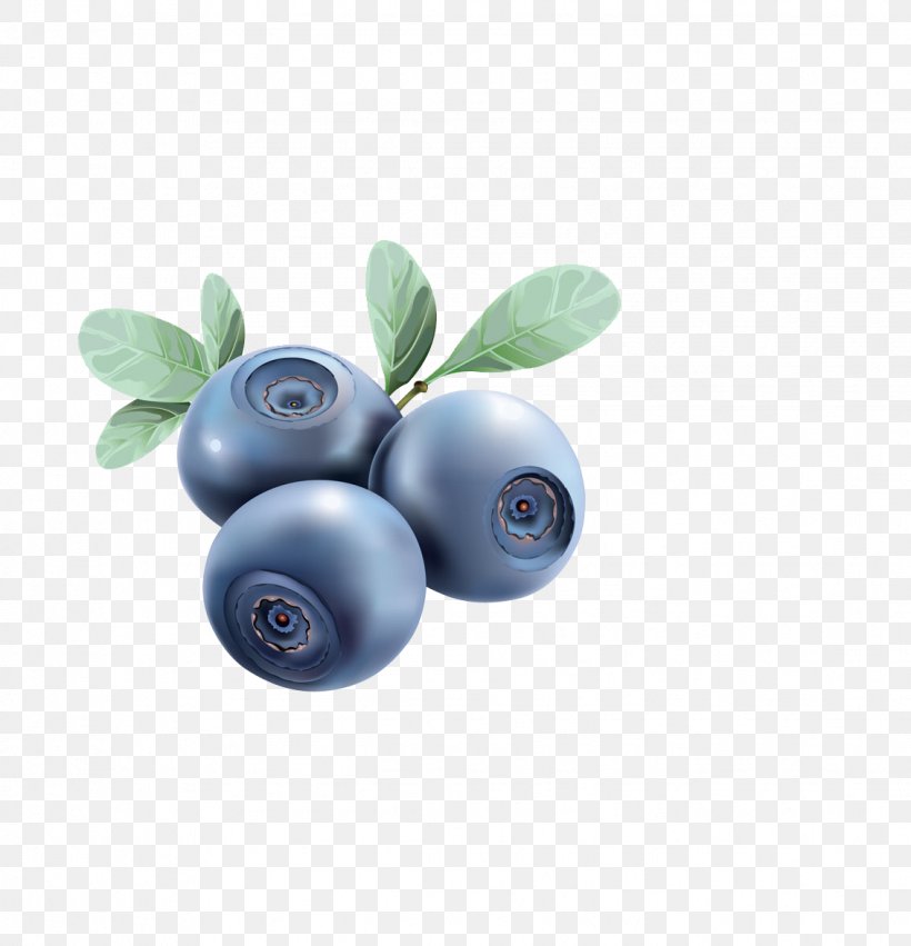 Blueberry Euclidean Vector Food Illustration, PNG, 1133x1177px, Blueberry, Berry, Bilberry, Food, Fruit Download Free