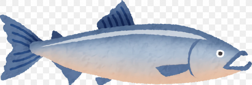 Fish Fish Fin Fish Products Bony-fish, PNG, 900x306px, Fish, Bonyfish, Fin, Fish Products, Oily Fish Download Free