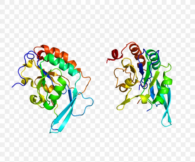 POLR2A RNA Polymerase II SND1, PNG, 1200x1000px, Rna Polymerase Ii, Area, Art, Dna, Enzyme Download Free