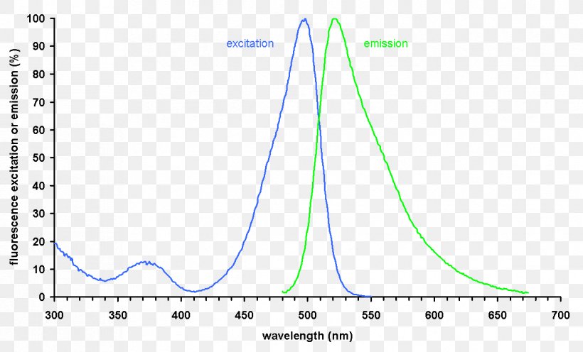 SYBR Green I Emission Spectrum Fluorescence Absorption Fluorophore, PNG, 1218x738px, Sybr Green I, Absorption, Area, Cyanine, Diagram Download Free