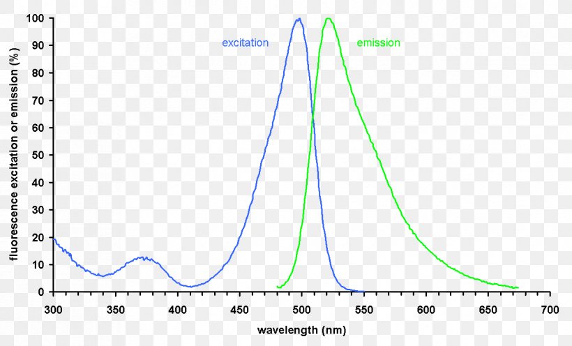 Fluorescence Emission Spectrum Of Green Fluorescent