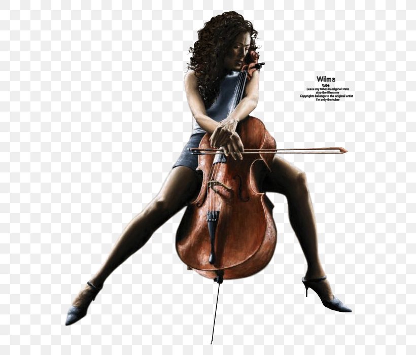 Violone Violin Cello Viola Microphone, PNG, 700x700px, Violone, Art, Ballet, Bowed String Instrument, Cellist Download Free