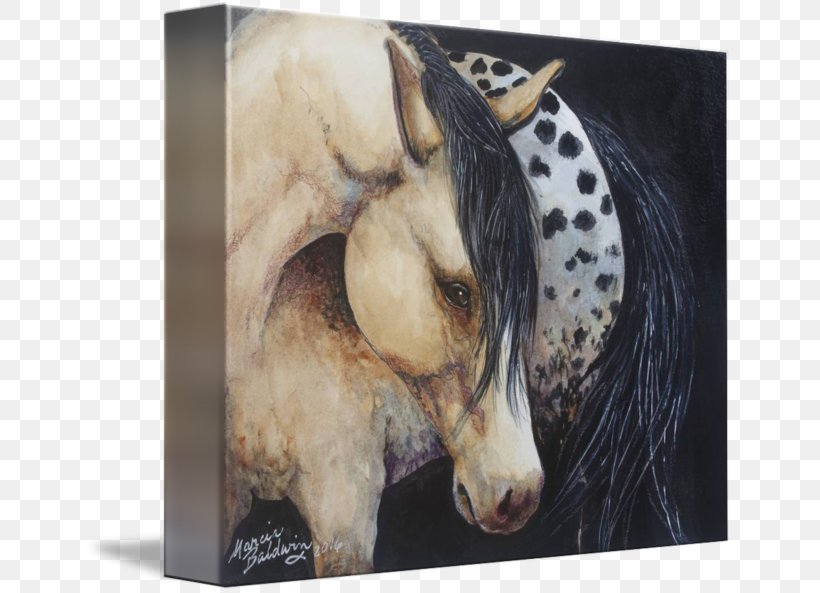 Appaloosa Mustang Stallion Watercolor Painting, PNG, 650x593px, Appaloosa, Animal, Art, Canvas, Fauna Download Free