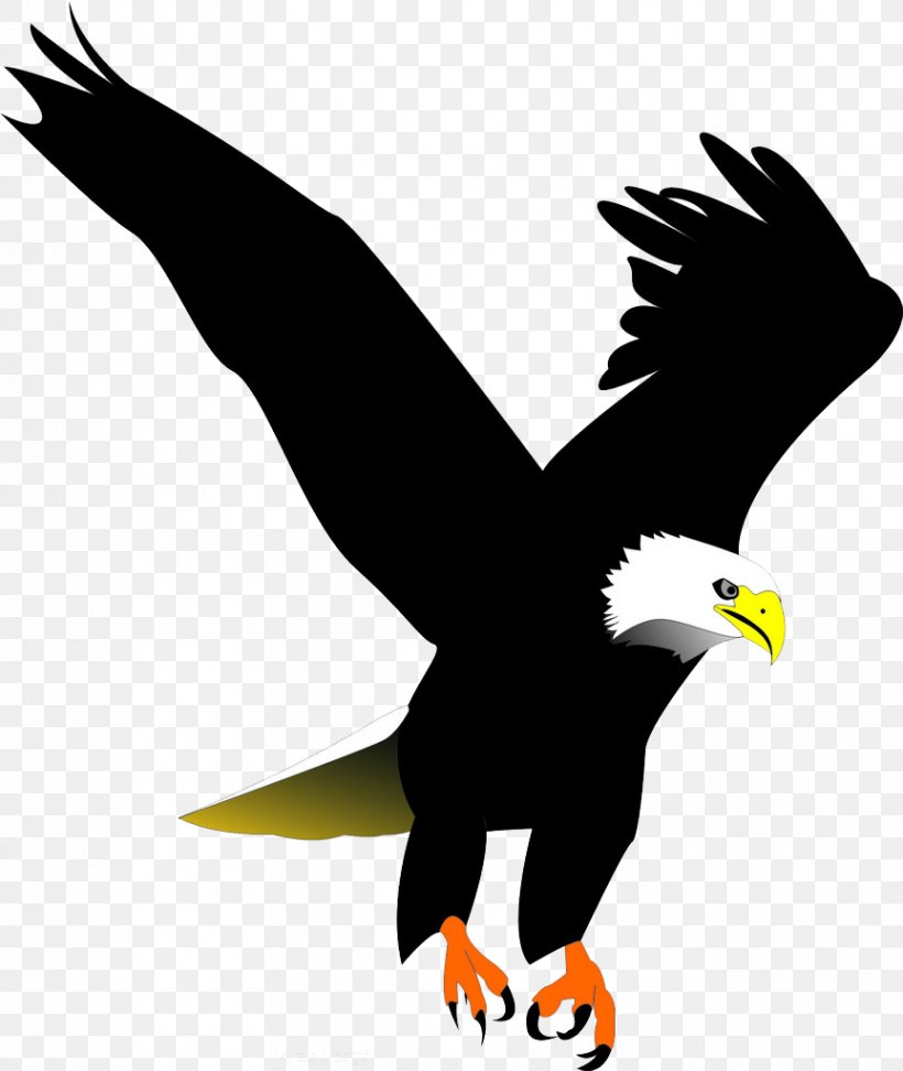 Bald Eagle Bird Clip Art, PNG, 863x1024px, Bald Eagle, Accipitriformes, African Fish Eagle, Art, Beak Download Free