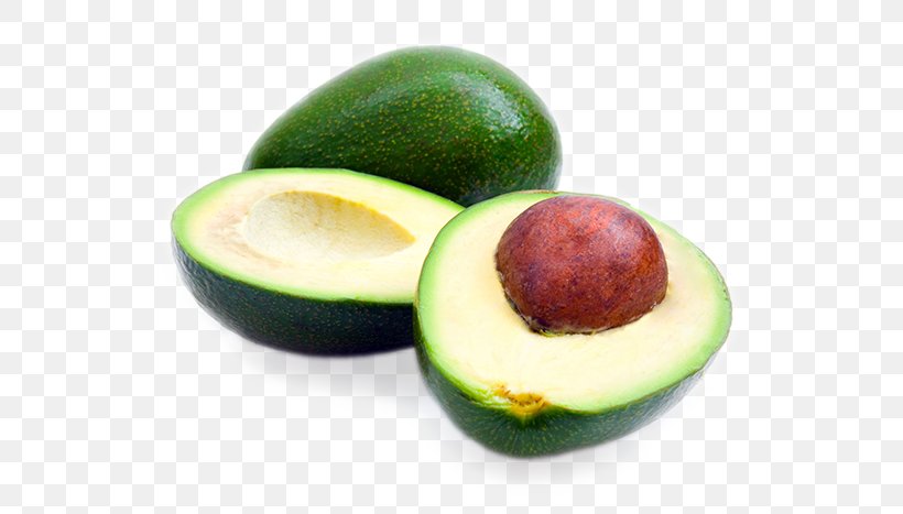 Fat Food Hass Avocado Avocado Oil Fruit, PNG, 577x467px, Fat, Antiinflammatory, Avocado, Avocado Oil, Carbohydrate Download Free