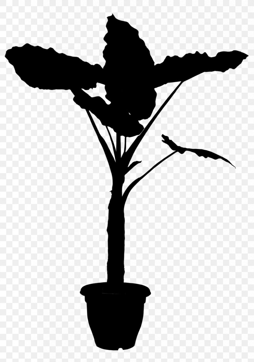 Plants Plant Stem Perennial Plant Reproduction Vine, PNG, 840x1200px, Plants, Blackandwhite, Botany, Branch, Drainage Download Free