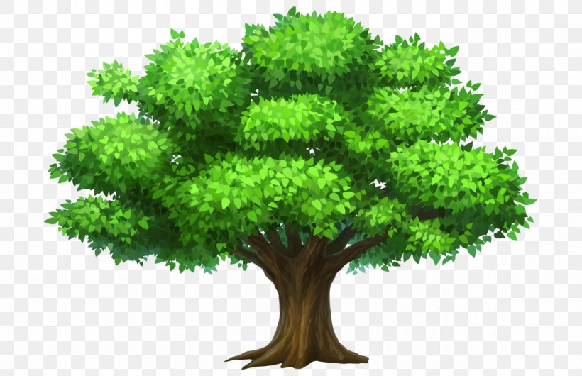 Tree Desktop Wallpaper Clip Art, PNG, 1280x828px, Tree, Animation, Branch, Christmas Tree, Document Download Free