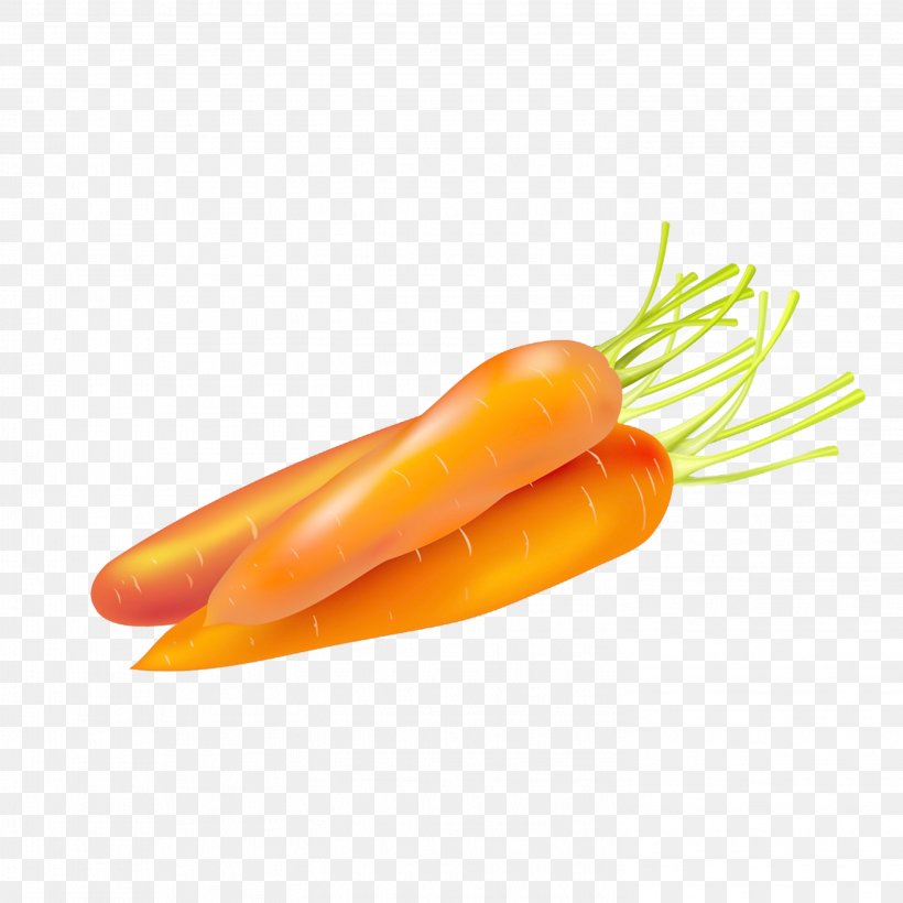 Carrot Cake Food Vegetable, PNG, 2953x2953px, Carrot, Baby Carrot, Bockwurst, Carrot Cake, Cartoon Download Free