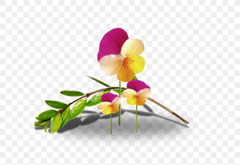 Cut Flowers Animation Floral Design, PNG, 700x564px, Flower, Animation, Blog, Branch, Cut Flowers Download Free