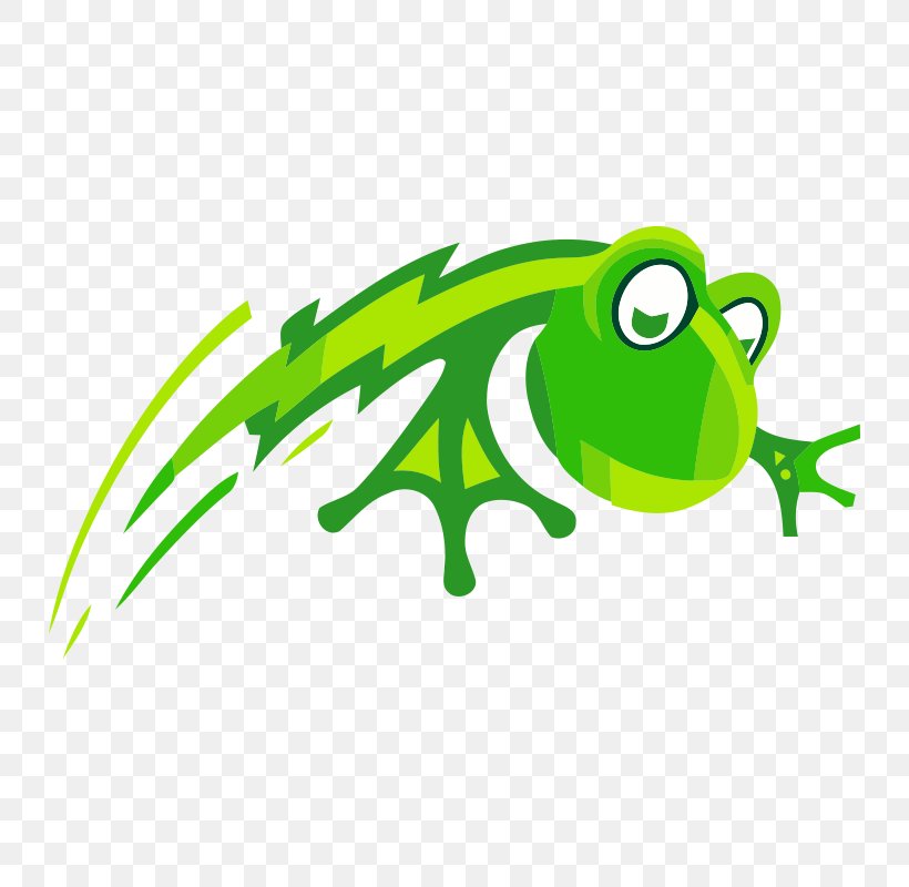 Tree Frog Logo, PNG, 800x800px, Frog, Amphibian, Area, Brand, Cartoon Download Free