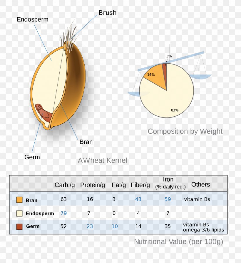 Vegetarian Cuisine Whole Grain Whole-wheat Flour Cereal, PNG, 2000x2180px, Vegetarian Cuisine, Bran, Bread, Cereal, Diagram Download Free