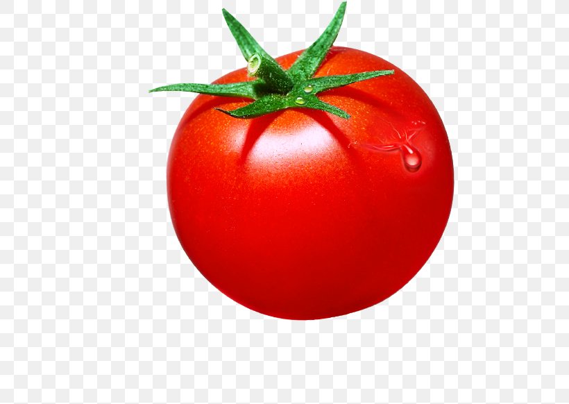 Cherry Tomato Red Clip Art, PNG, 515x582px, Cherry Tomato, Auglis, Bush Tomato, Diet Food, Food Download Free