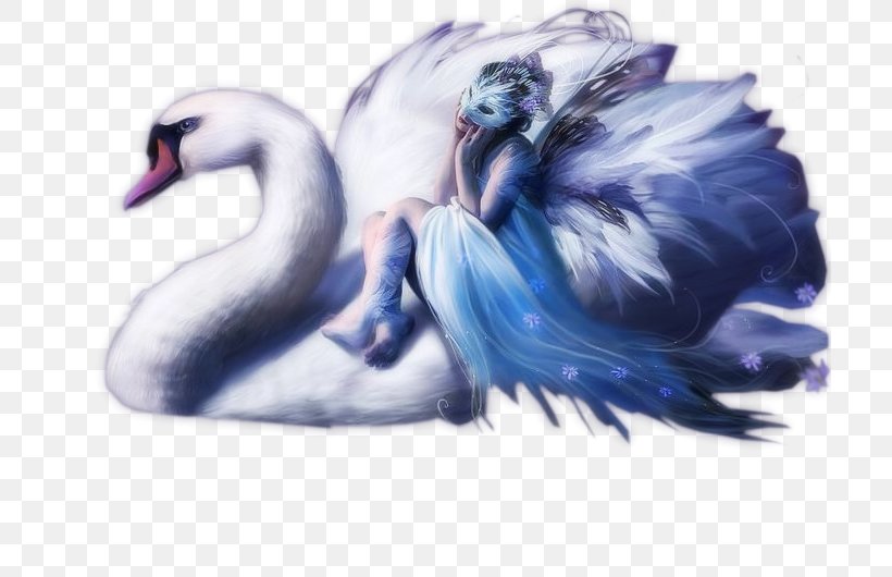 Mute Swan Bird Black Swan Desktop Wallpaper, PNG, 708x530px, Mute Swan, Art, Beak, Bird, Black Swan Download Free