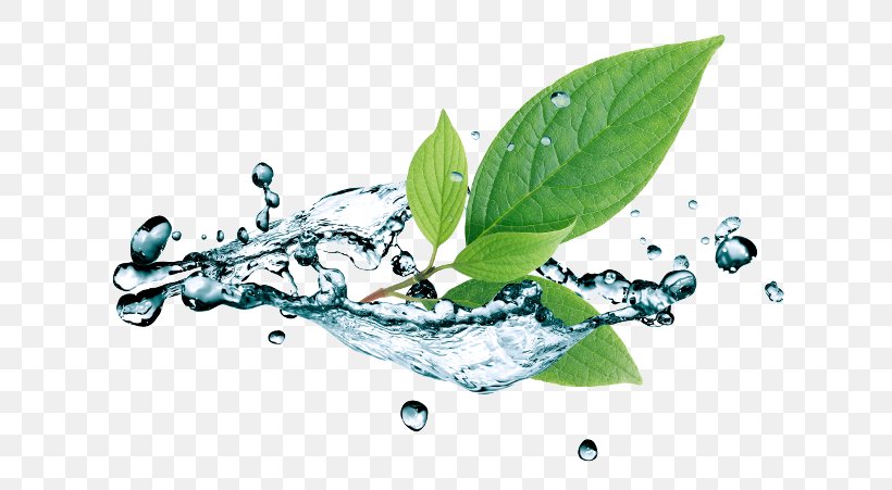 Water Stock Photography Leaf Royalty-free, PNG, 705x451px, Water, Depositphotos, Ice, Ice Cube, Istock Download Free