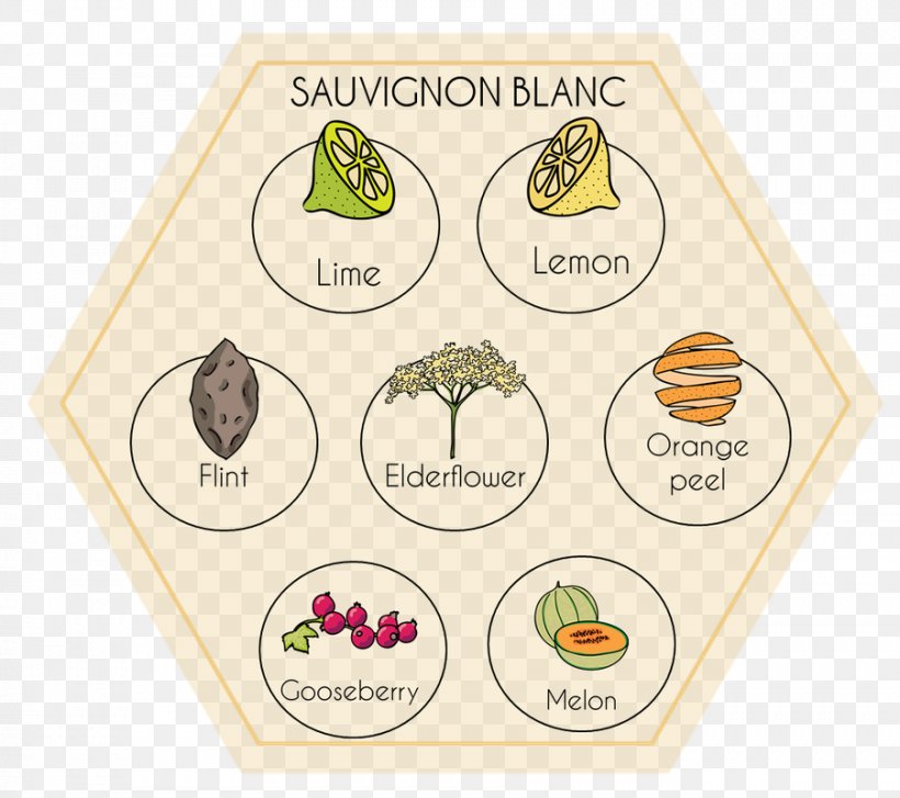 Wine Tasting Sauvignon Blanc Aroma Of Wine Wine Color, PNG, 902x800px, Wine, Aroma, Aroma Of Wine, Flavor, Food Download Free