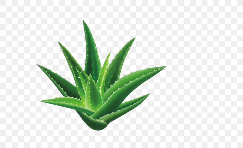 Aloe Vera Dietary Supplement Health Aloe Emodin Ayurveda, PNG, 750x500px, Aloe Vera, Aloe, Aloe Emodin, Ayurveda, Capsule Download Free