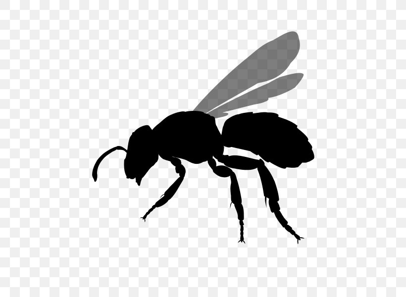 Bee Hornet Insect Yellowjacket, PNG, 490x600px, Bee, Arthropod, Black And White, Fly, Honey Bee Download Free