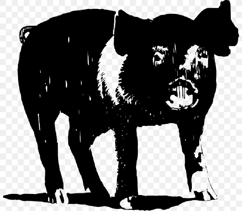 Clip Art Vector Graphics Large White Pig Illustration, PNG, 800x715px, Large White Pig, Blackandwhite, Canidae, Carnivore, Domestic Pig Download Free