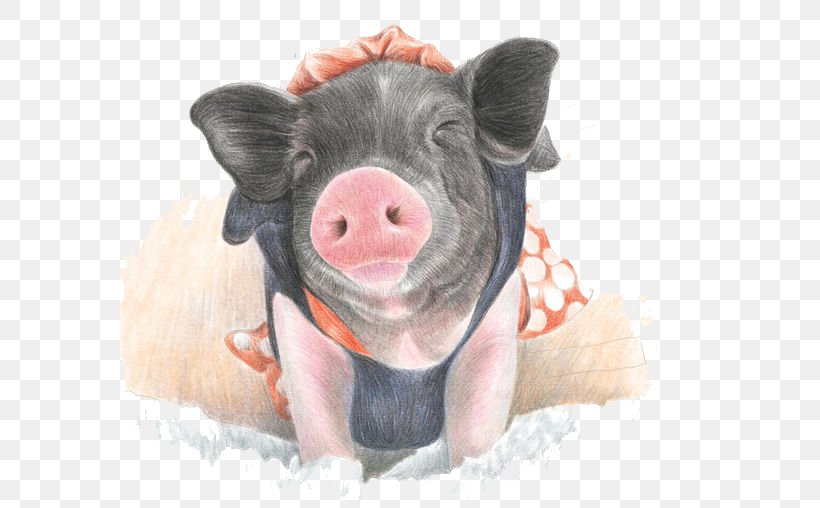 Domestic Pig Pencil Watercolor Painting Paintbrush Drawing, PNG, 580x508px, Domestic Pig, Art, Colored Pencil, Creativity, Designer Download Free