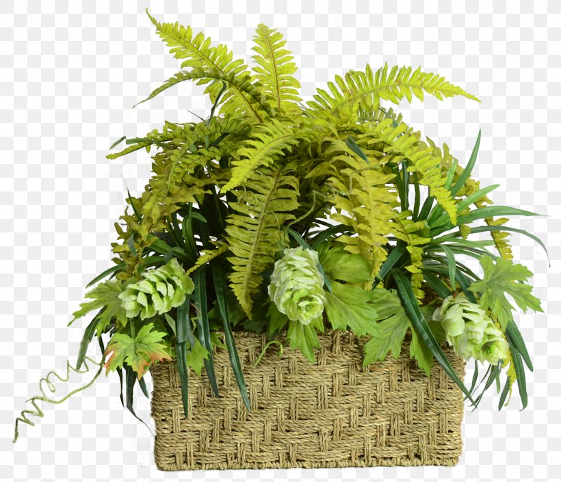 Flowerpot Tree, PNG, 1128x970px, Flowerpot, Fern, Ferns And Horsetails, Grass, Plant Download Free