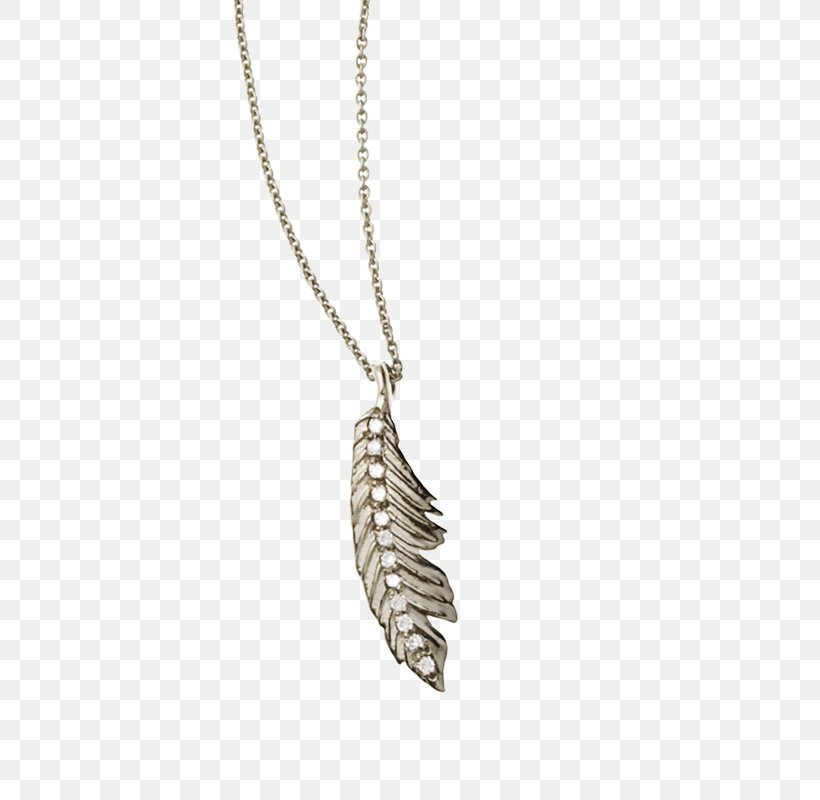 Necklace Charms & Pendants Body Jewellery Feather, PNG, 800x800px, 2019 Mini Cooper, Necklace, Body Jewellery, Body Jewelry, Chain Download Free