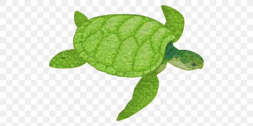 Sea Turtle Background, PNG, 960x480px, Turtle, Animal Figure, Cartoon, Green, Green Sea Turtle Download Free