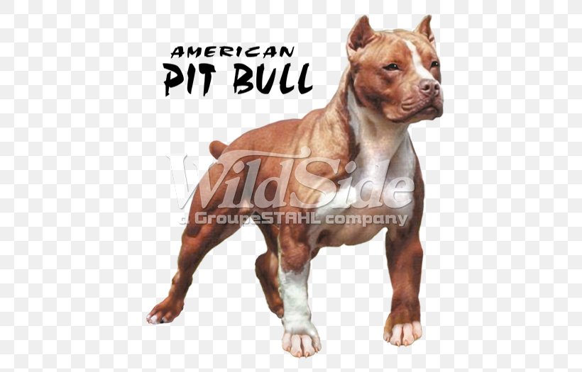 American Pit Bull Terrier T-shirt American Bully, PNG, 525x525px, American Pit Bull Terrier, American Bully, American Staffordshire Terrier, Bull Terrier, Bulldog Download Free