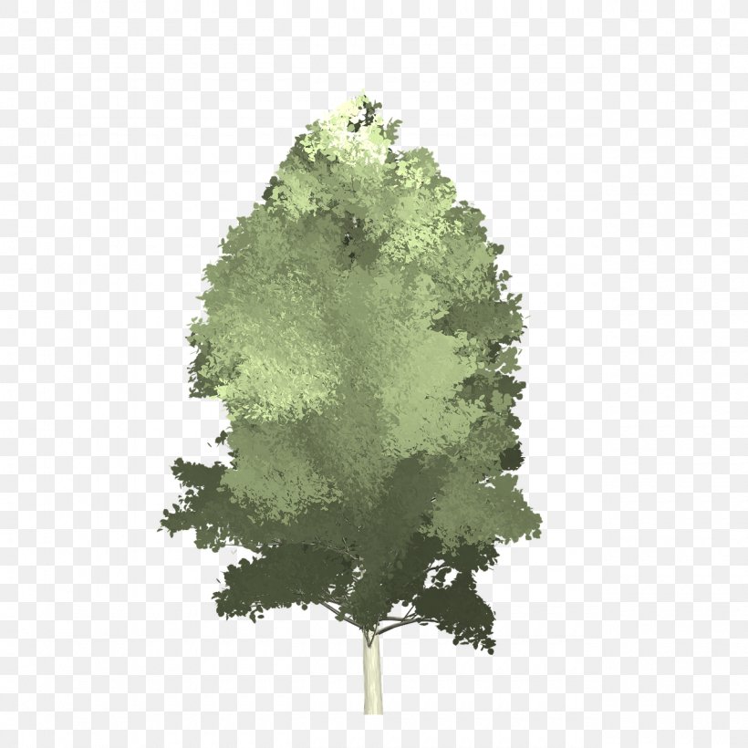Aspen Tree Image Vector Graphics Trunk, PNG, 1280x1280px, Aspen, Grass, Leaf, Photography, Plant Download Free
