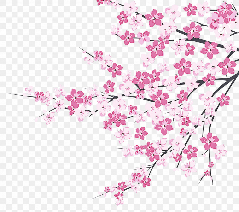 Cherry Blossom, PNG, 2611x2321px, Flower, Blossom, Branch, Cherry Blossom, Cut Flowers Download Free
