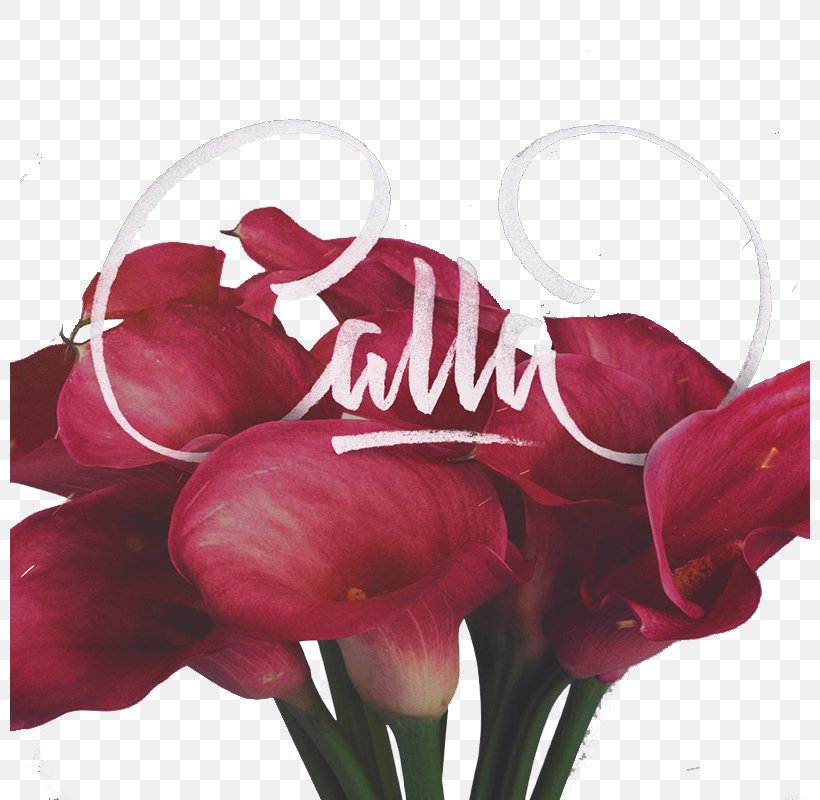 Floral Design Flower Bouquet Nosegay, PNG, 800x800px, Floral Design, Artworks, Cut Flowers, Designer, Floristry Download Free